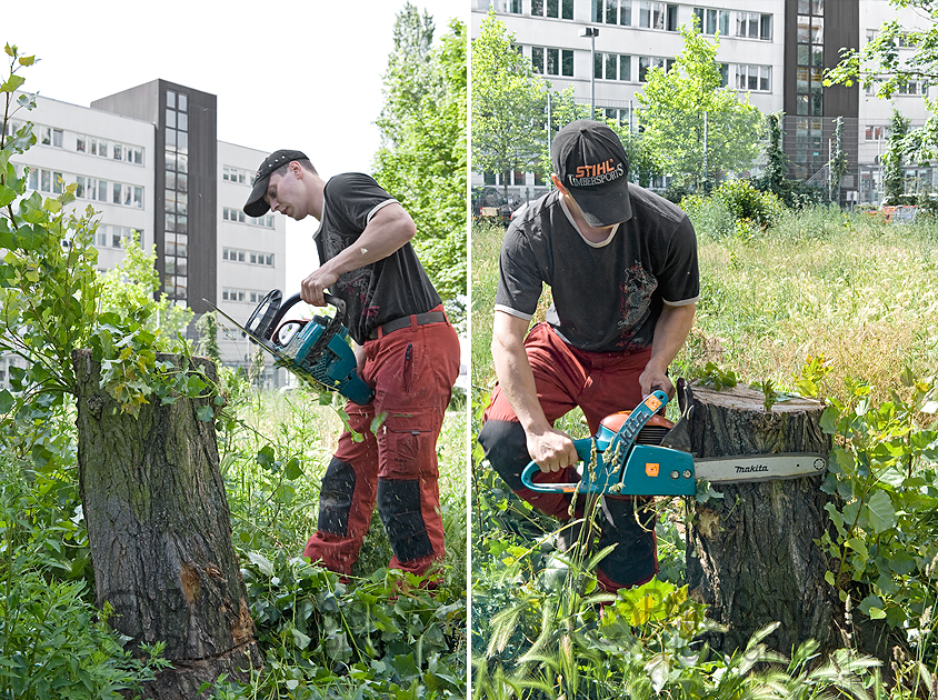 Arbeitsdokumentation Fotografie - Industrieklettern-Baumpflege